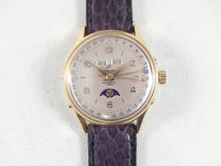 Enicar FELSA 693 Bidynator Automatic Day Date Month Moon 132